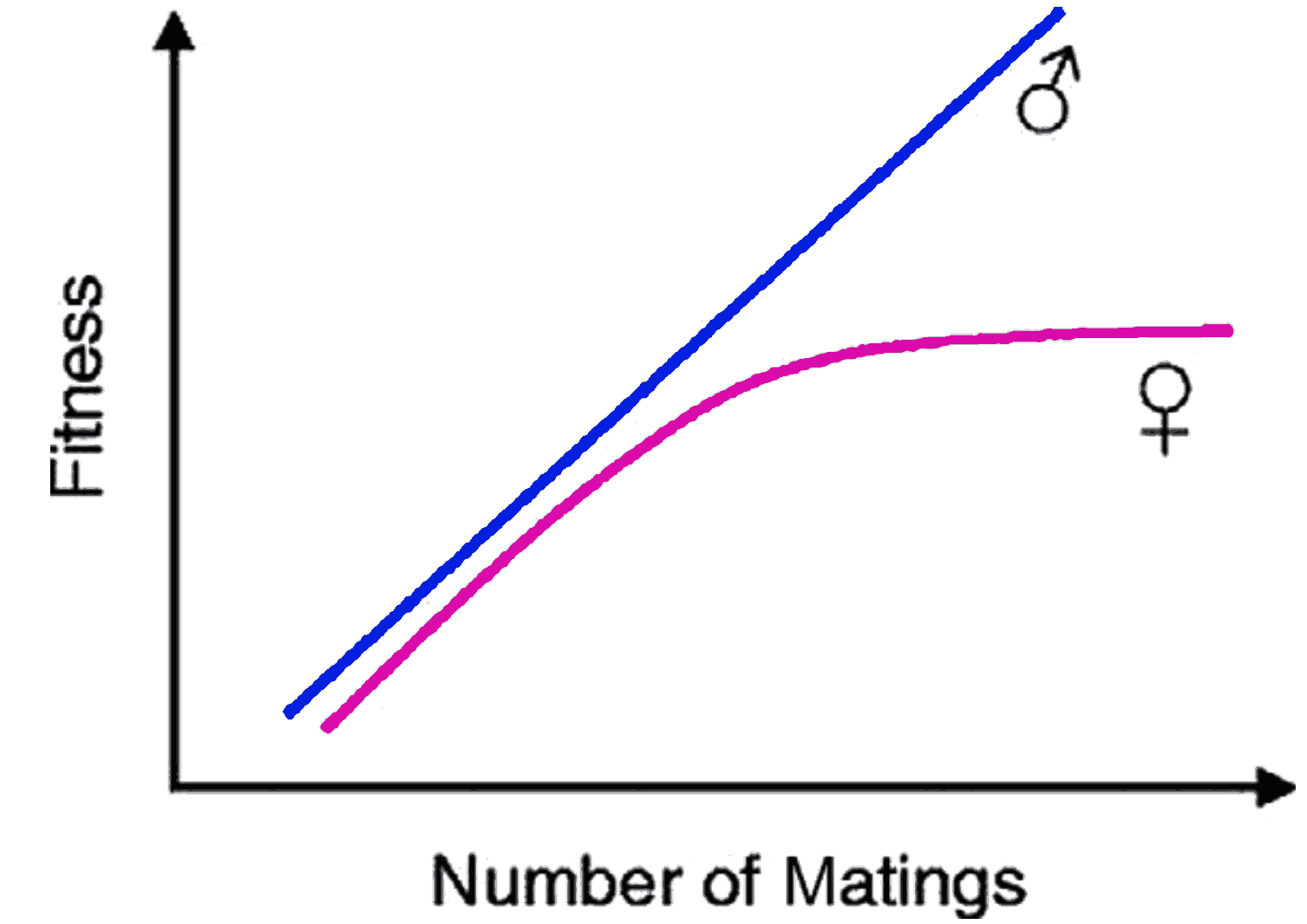 he Bateman gradients for male nad female differing ration of copulations to reproductive otima