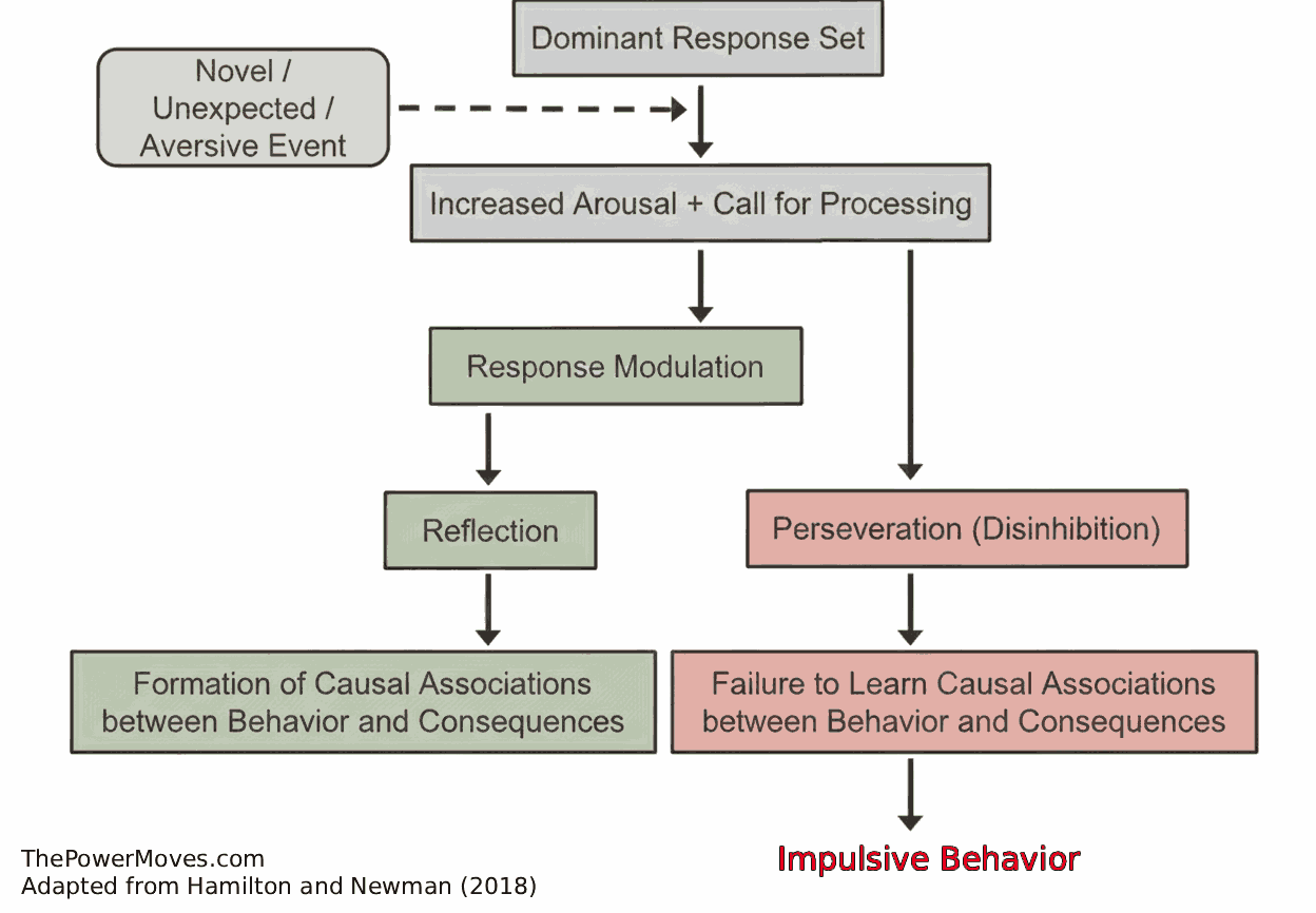 Response Modulation Hypothesis of Psychopathy chart showing the stages of response modulation.