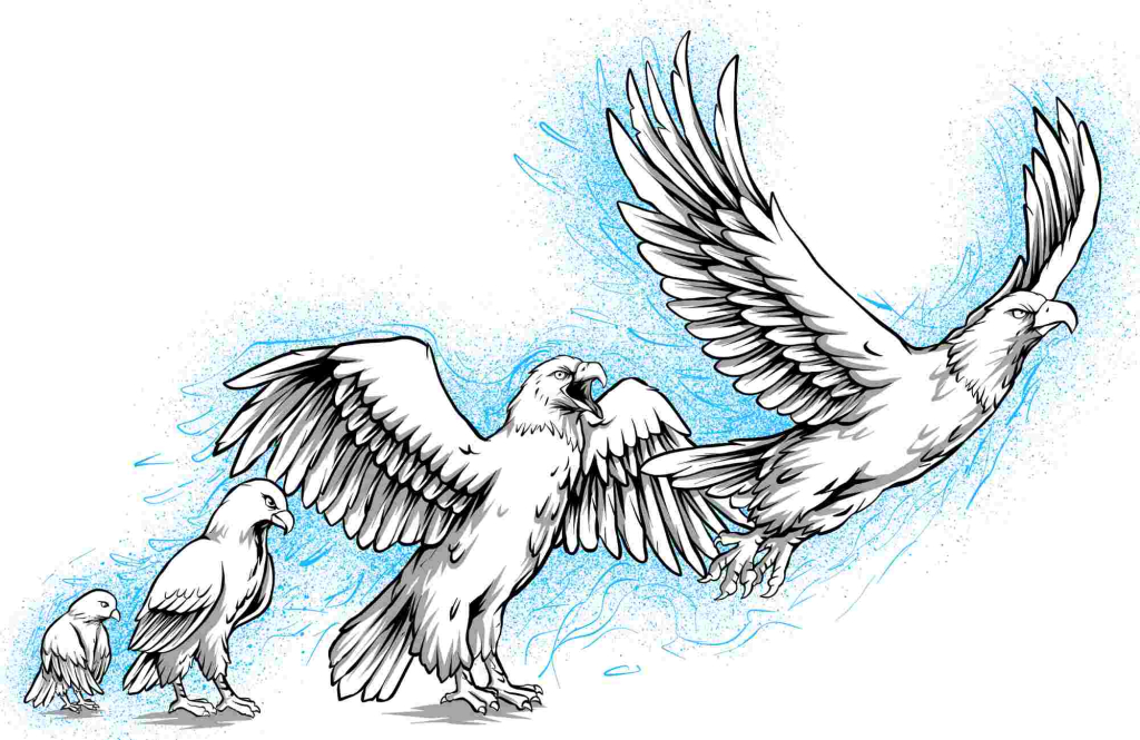 the learning progression through TPM from shy to empowered as seen in 4 eagles