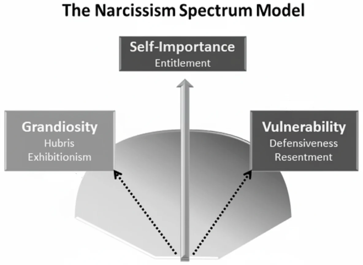  the narcissism spectrum model high resolution, representing The three core
axes of the narcissism
spectrum