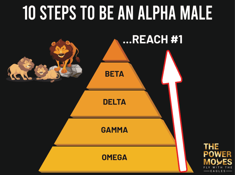 alpha male pyramid with title "10 steps to be an alpha male"