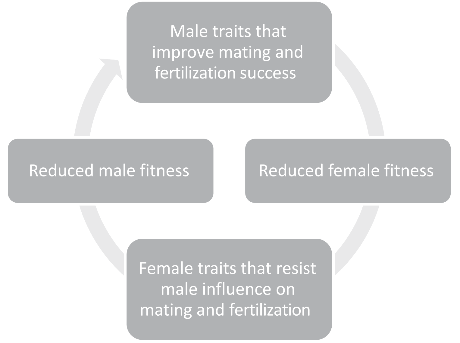 sexual conflict arms race infographic
